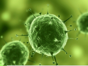 1462256784108388.png 圖片1.png