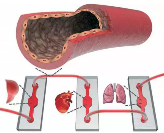 1464657050252338.jpg 20160531090832.jpg