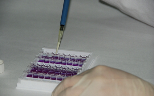 1470808291269378.jpg 201608091419415897.jpg