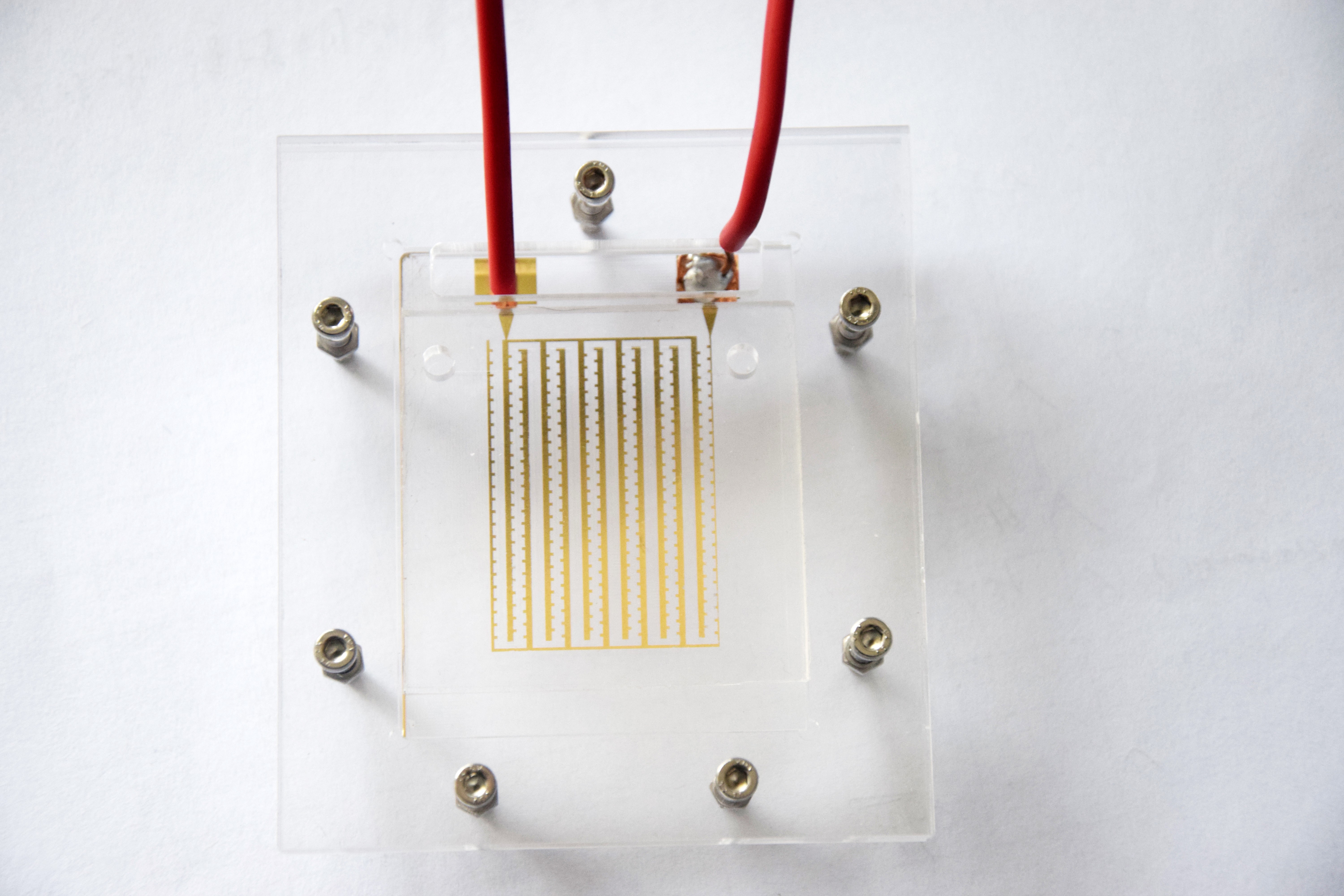 1471573997107575.jpg 1471573997107575.jpg