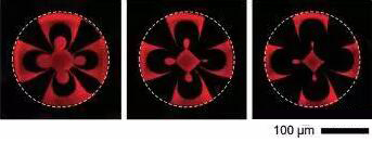 1472087060831761.jpg 20160825085556.jpg