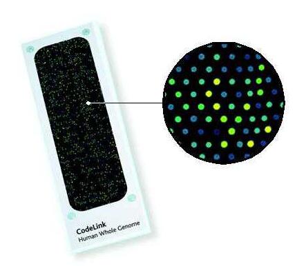 1475126940435610.jpg 1475126940435610.jpg