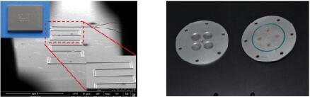 1476152521523567.jpg QQ截圖20161011101849.jpg