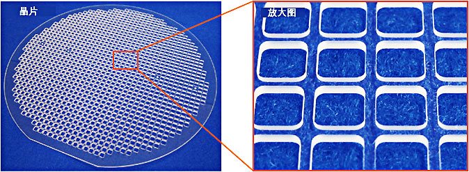 1477530848797378.jpg 芯片鍵合