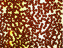 微流控芯片|微流控芯片批量加工