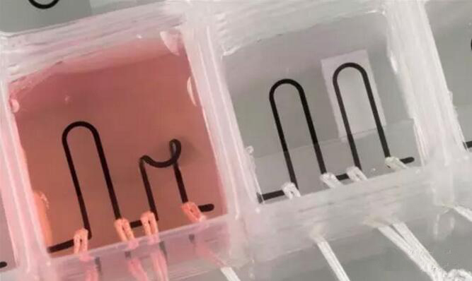 1477619103169588.jpg 20161028094114.jpg