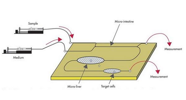 1478141759188479.jpg 微流控芯片鍵合