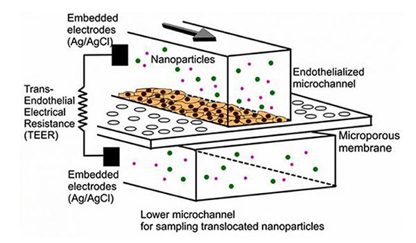 1479192642918298.jpg 微流控芯片