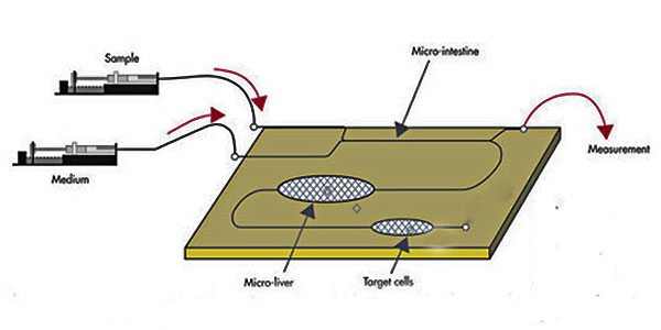 1479288283122399.jpg 微流控技術