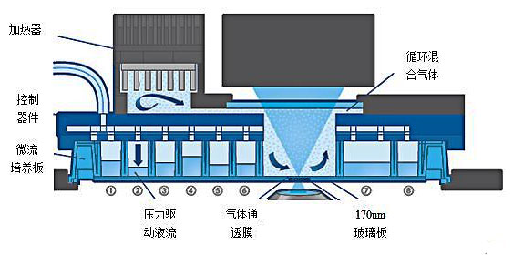 1479792024786448.jpg 芯片實(shí)驗(yàn)室