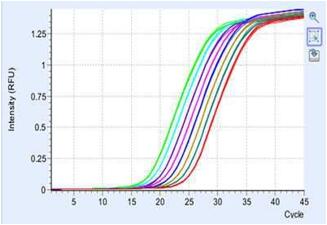 1480985610415084.jpg QQ截圖20161206085253.jpg