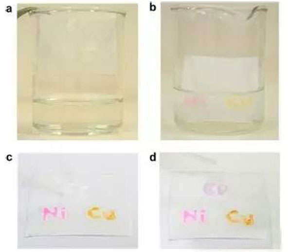 1481163316904054.jpg 微流控芯片