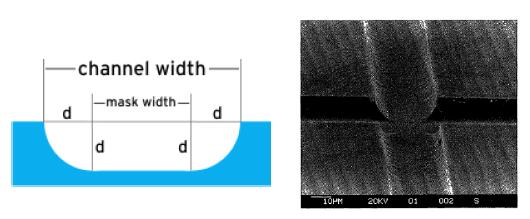 1481594421374806.jpg 1481592272632050.jpg