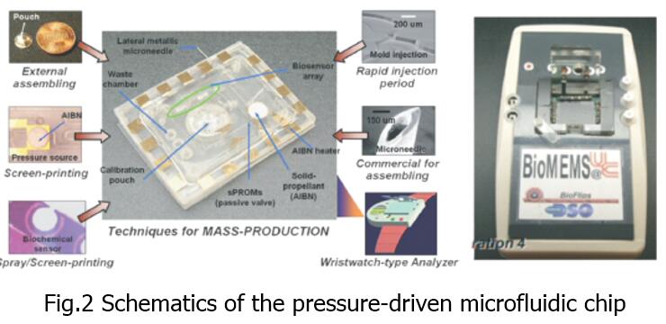 1482977836134383.jpg 1482977836134383.jpg