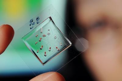 1483426270107394.jpg xl.jpg