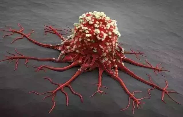 1483579515697545.jpg ca.jpg