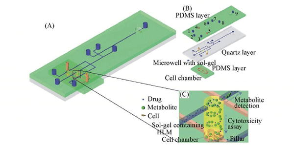 1484034993571160.png 微流控芯片實驗室