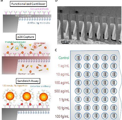 1488416989465560.png 20170227225200381.png