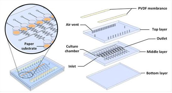 1488852552160078.jpg 微流控芯片
