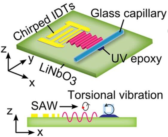 1489369464582951.jpg 20170310025407160.jpg