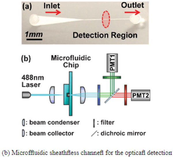 1489468652202980.jpg 微流控技術