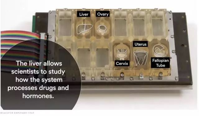 1490841687124564.jpg 20170329134719177.jpg