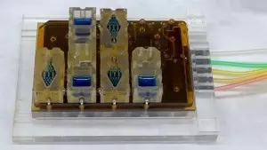 1490841733109976.jpg 20170329134923210.jpg