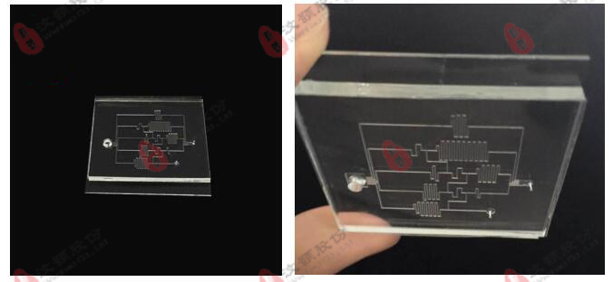 Microfluidic concentration gradient chip Microfluidic concentration gradient chip