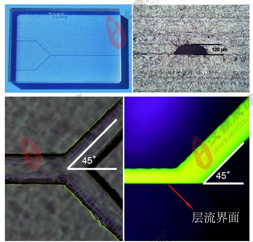 Glass Standard laminar flow microfluidic Chip channel