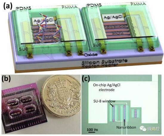 1501491084291841.jpg 20170728100712927.jpg