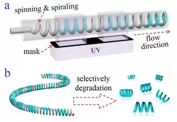 微流控光刻仿生螺旋微型馬達 微流控光刻仿生螺旋微型馬達