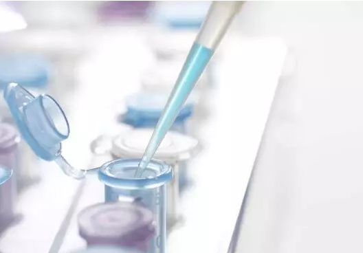 DNA檢測技術 DNA檢測技術