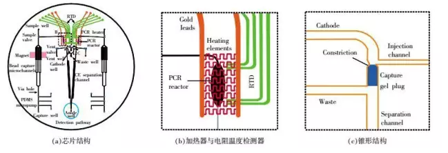 DNA芯片-全集成芯片原理結構 DNA芯片-全集成芯片原理結構