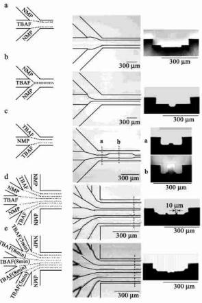 微流控層流在生命醫(yī)學(xué)方面的應(yīng)用