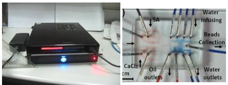 新型數字化閥控微流平臺及其應用在藥物開發和抗藥篩選方面的研究 新型數字化閥控微流平臺及其應用在藥物開發和抗藥篩選方面的研究