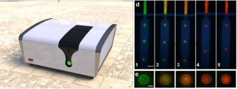 在線芯片生物大分子熒光毛細管電泳與PCR檢測聯用 在線芯片生物大分子熒光毛細管電泳與PCR檢測聯用