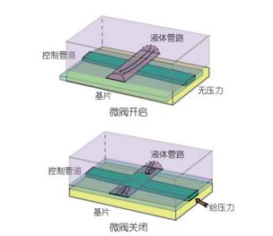 利用多層軟蝕刻制備微流控壓力可控閥門的示意圖 利用多層軟蝕刻制備微流控壓力可控閥門的示意圖
