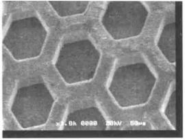 高溫灰化法處理后的 DNA 模具電鏡照片 Fig. 2 SEM picture of DNA mold using hot ciner ation 高溫灰化法處理后的 DNA 模具電鏡照片 Fig. 2 SEM picture of DNA mold using hot ciner ation