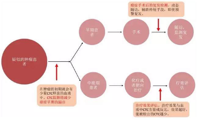 CTC在癌癥治療中的應(yīng)用場(chǎng)景 CTC在癌癥治療中的應(yīng)用場(chǎng)景