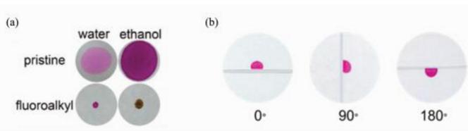(a)染料水溶液和乙醇溶液分別滴加到原始濾紙上和全氟辛基二氧化硅修飾的濾紙上，及(b)水滴在不同旋轉角度全氟辛基二氧化硅修飾的濾紙表面上的照片