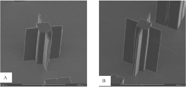 PDMS樣品上電鑄微模具工藝流程 PDMS樣品上電鑄微模具工藝流程