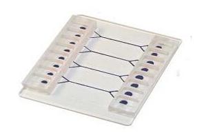 汶顥微流控芯片流體的驅動和控制 汶顥微流控芯片流體的驅動和控制