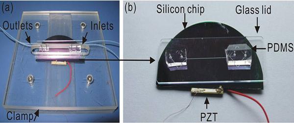 微流控芯片流體的控制與驅動效果示意圖 微流控芯片流體的控制與驅動效果示意圖