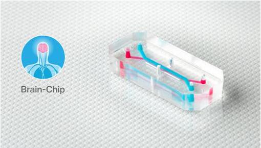 Emulate的器官芯片，如大腦芯片，包含排列成千上萬活的人體細胞和組織的微小中空通道，每個都有大約AA電池（5號電池）大小