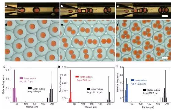 使用微流控裝置得到不同尺寸和結構的微膠囊 使用微流控裝置得到不同尺寸和結構的微膠囊