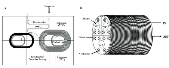 圖3 螺旋通道型 PCR裝置: ( A) 平面螺旋通道 PCR 裝置,( B) 圓柱螺旋通道 PCR裝置 圖3 螺旋通道型 PCR裝置: ( A) 平面螺旋通道 PCR 裝置,( B) 圓柱螺旋通道 PCR裝置
