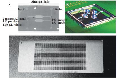 微池型 PCR芯片: (A) 單反應池 PCR芯片,(B) 液滴虛擬微池 PCR芯片, (C) 微池陣列 PCR芯片 微池型 PCR芯片: (A) 單反應池 PCR芯片,(B) 液滴虛擬微池 PCR芯片, (C) 微池陣列 PCR芯片