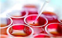 納米技術芯片或可一次性修復受傷組織 納米技術芯片或可一次性修復受傷組織