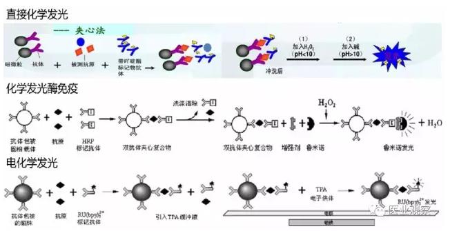 按標記物分類的三種化學發光方法的原理