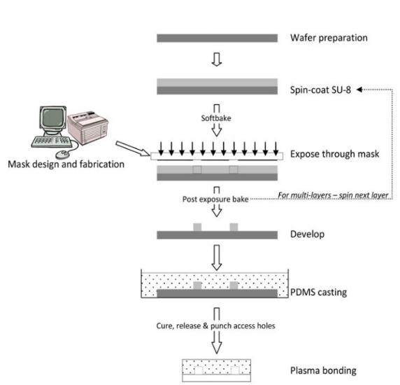 基于SU-8光刻膠的PDMS倒模加工技術(PDMS-玻璃) 基于SU-8光刻膠的PDMS倒模加工技術(PDMS-玻璃)